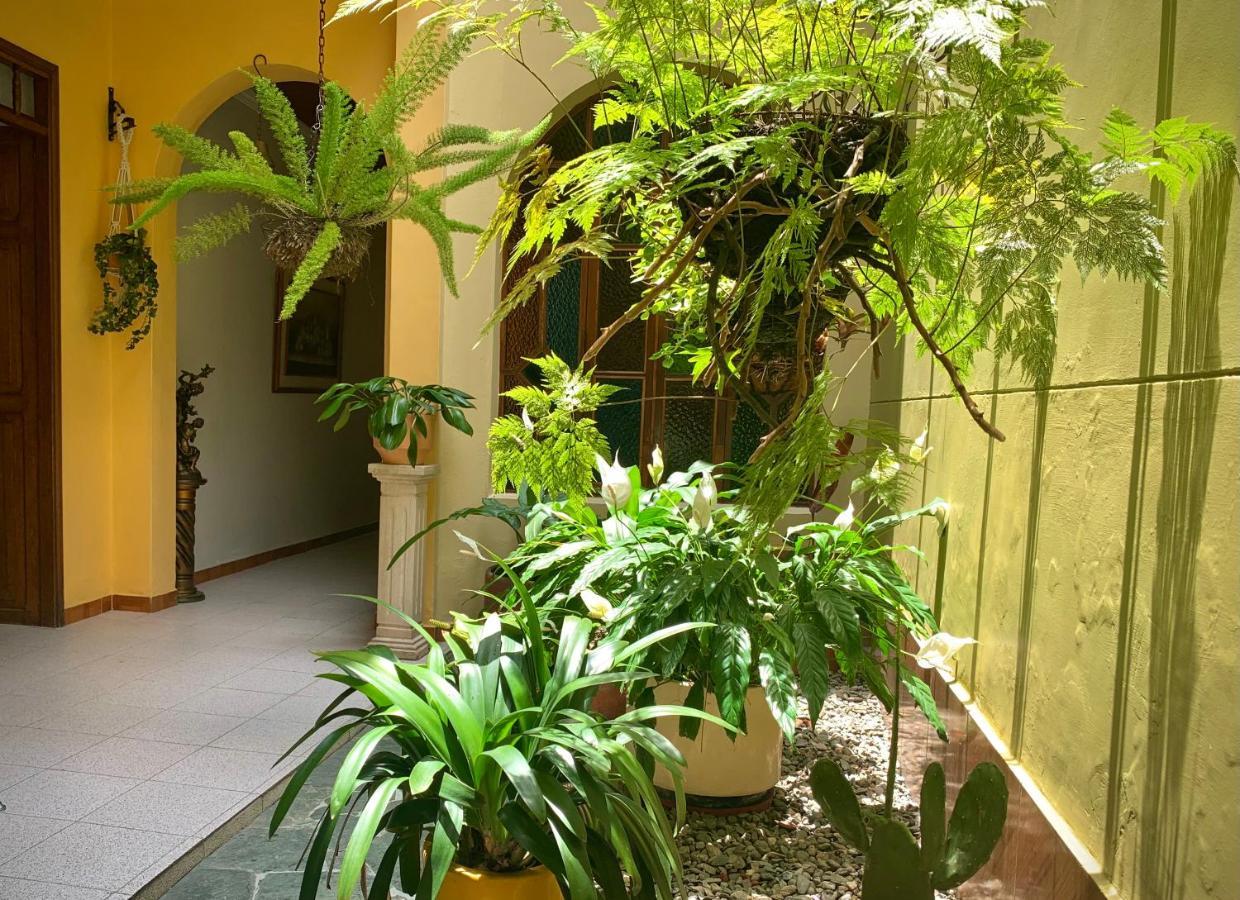 Casa Grande Homestay Medellin
