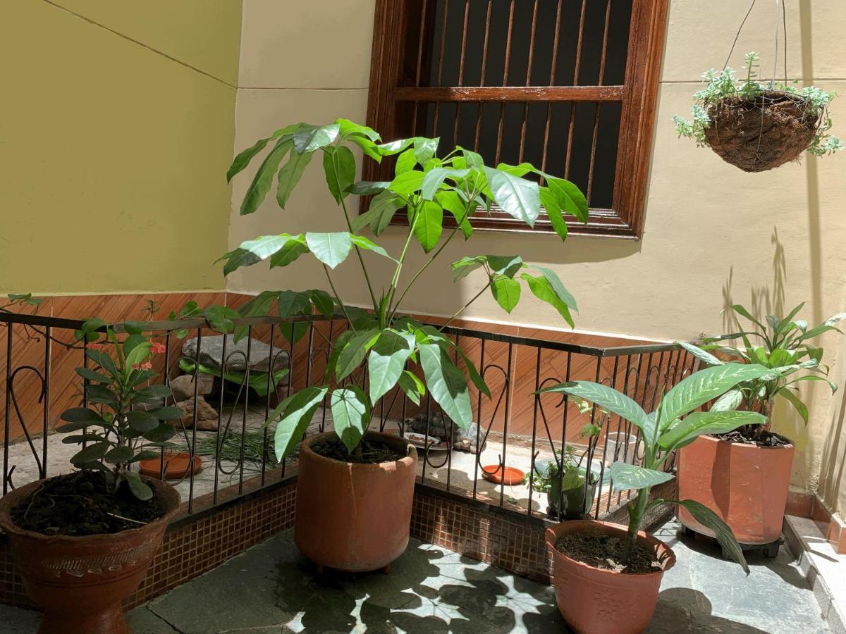 Casa Grande Homestay Medellin