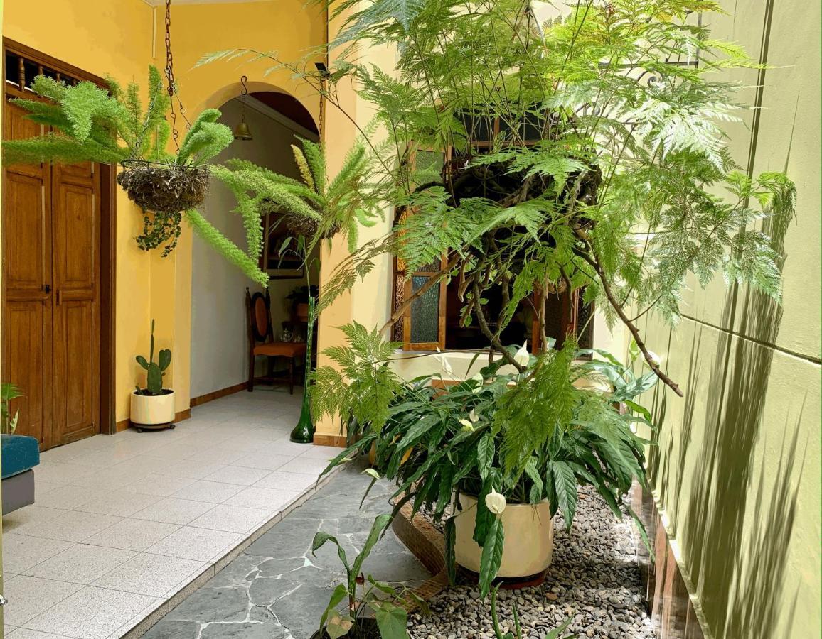 Casa Grande Homestay